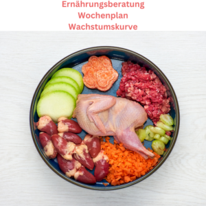 Ernährungsberatung Wochenplan Wachstumskurve