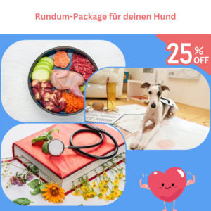 Rundum-Package für deinen Hund